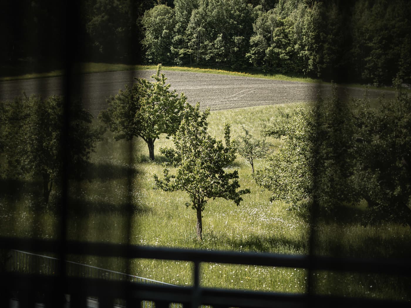 Wellness Suite - Bild 4